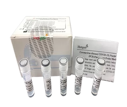 Polymerase-Ketten reaktion (PCR) Produkt