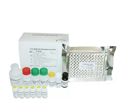 Enzym verknüpfte Immunosorbent-Assay (ELISA)-Kit